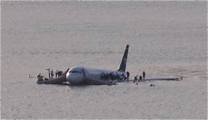 Were There Any Animals on Flight 1549?