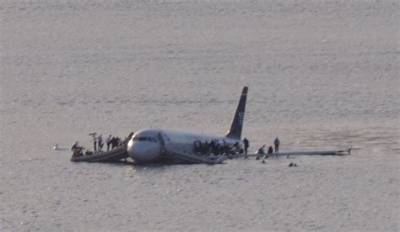 Were There Any Animals on Flight 1549?