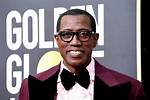 Wesley Snipes Allegations: Unveiling the Truth Behind the Controversies