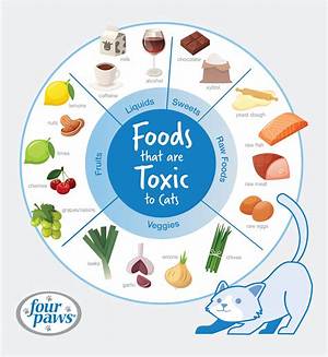 What Animal Does Not Eat?
