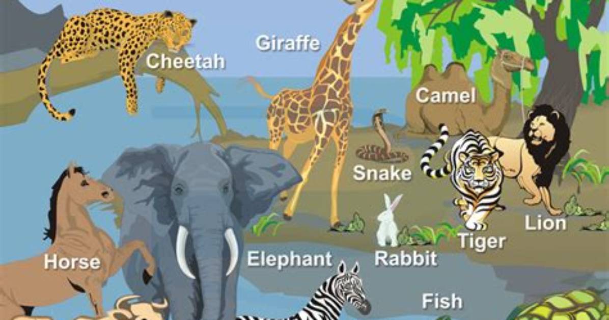What Animal Is A