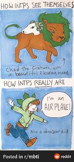 What Animals Are Intps?