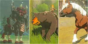What Animals Can You Tame in Botw?