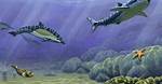 What Animals Live in the Continental Shelf