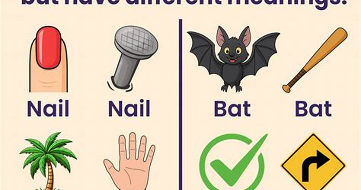 What Are 10 Examples of Homonyms?