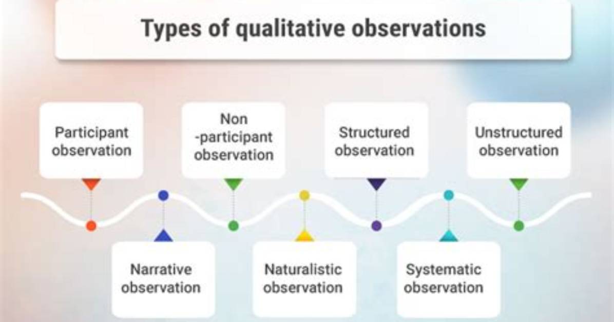 What Are 3 Types of Observation?