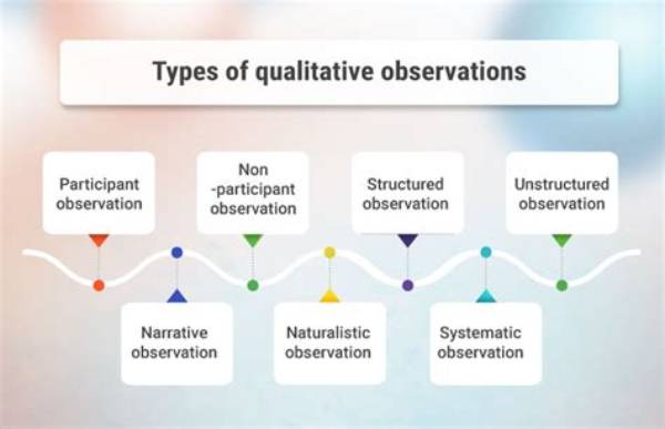 What Are 3 Types of Observation?