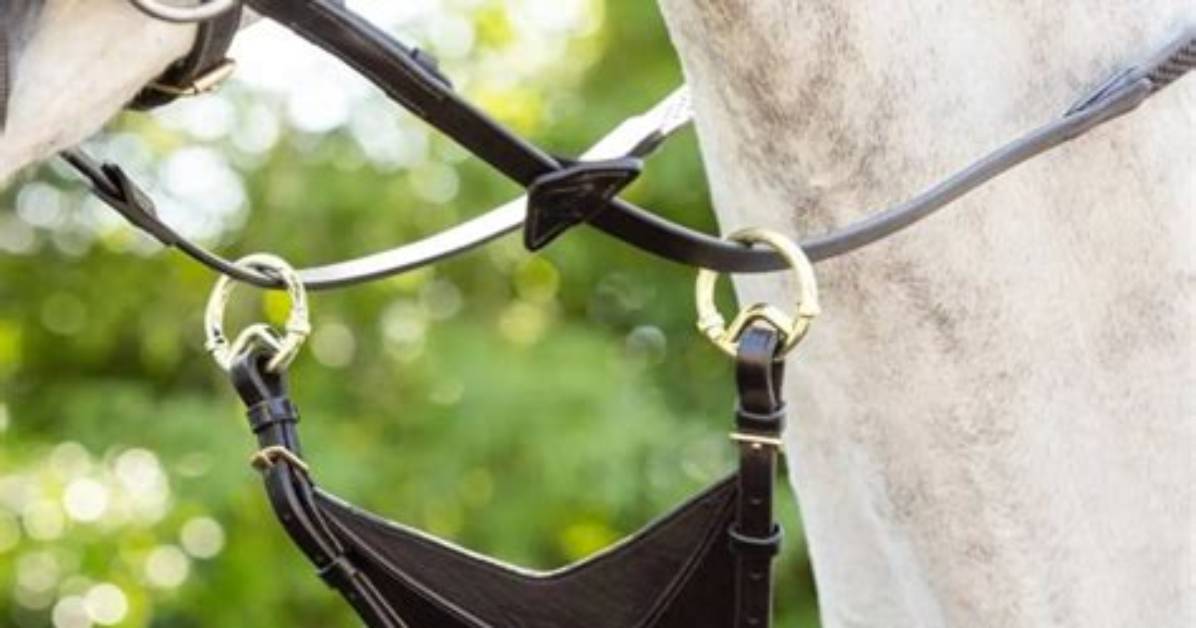 What Are Bib Martingales Used for?