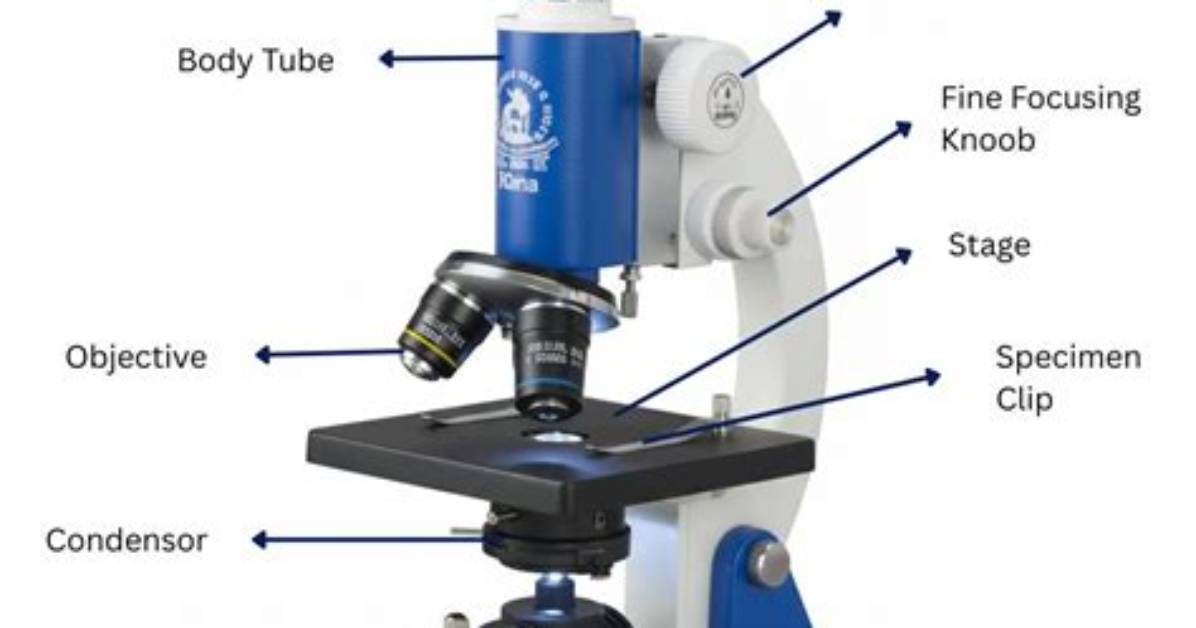 What Are Compound Microscopes Used For