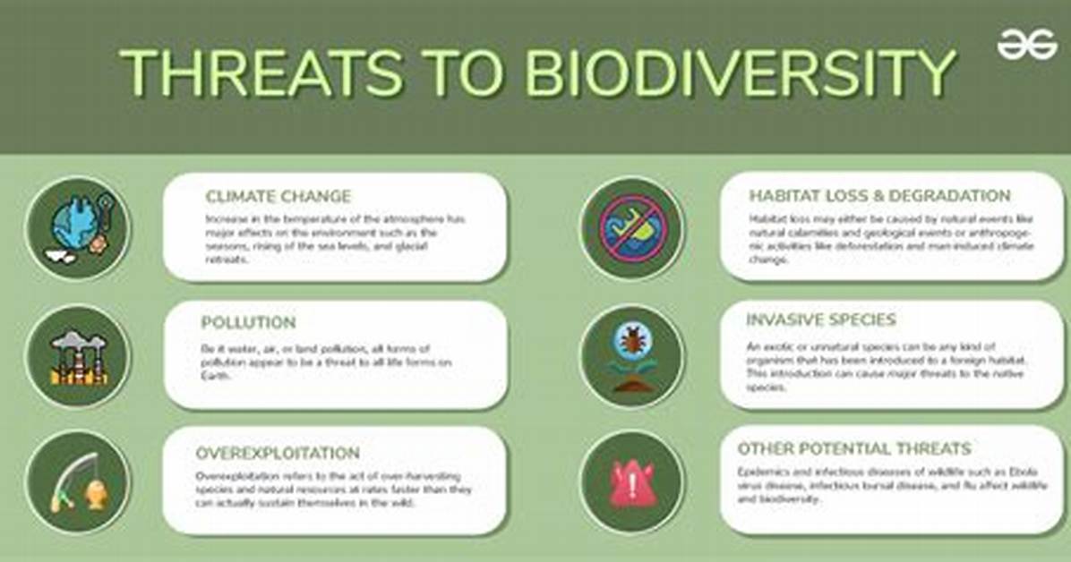 What Are Major Threats to Biodiversity