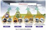 What Are Natural Sources of Air Pollution