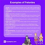 What Are Noncapital Felonies?