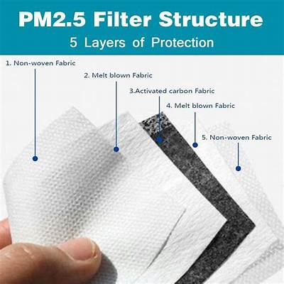 What Are Pm 2.5 Filters for Masks?