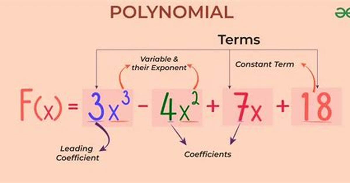 What Are Polynomial Terms?