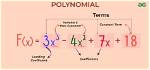 What Are Polynomial Terms?
