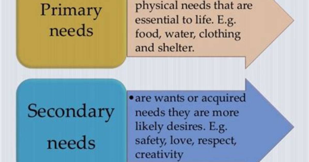 What Are Primary Needs and Secondary Needs?