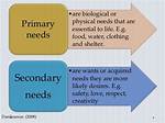 What Are Primary Needs and Secondary Needs?