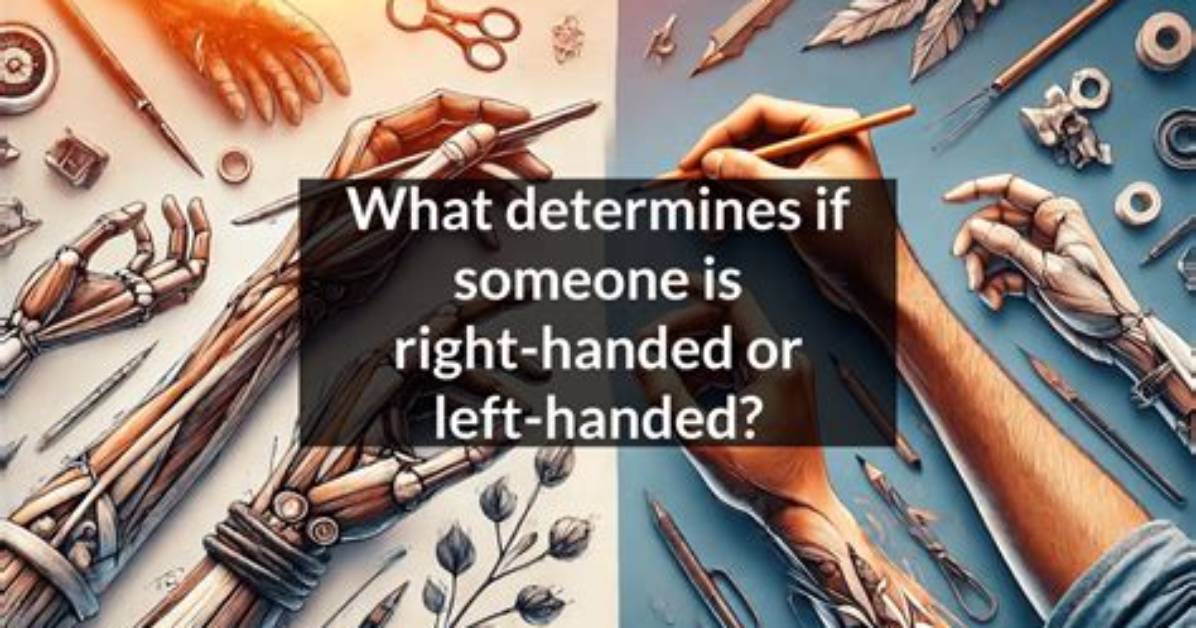 What Are Right-Handed People Called?