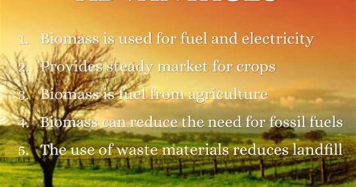 What Are Some Advantages of Biomass