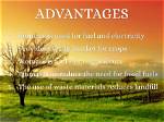 What Are Some Advantages of Biomass