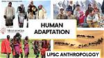 What Are Some Human Adaptations
