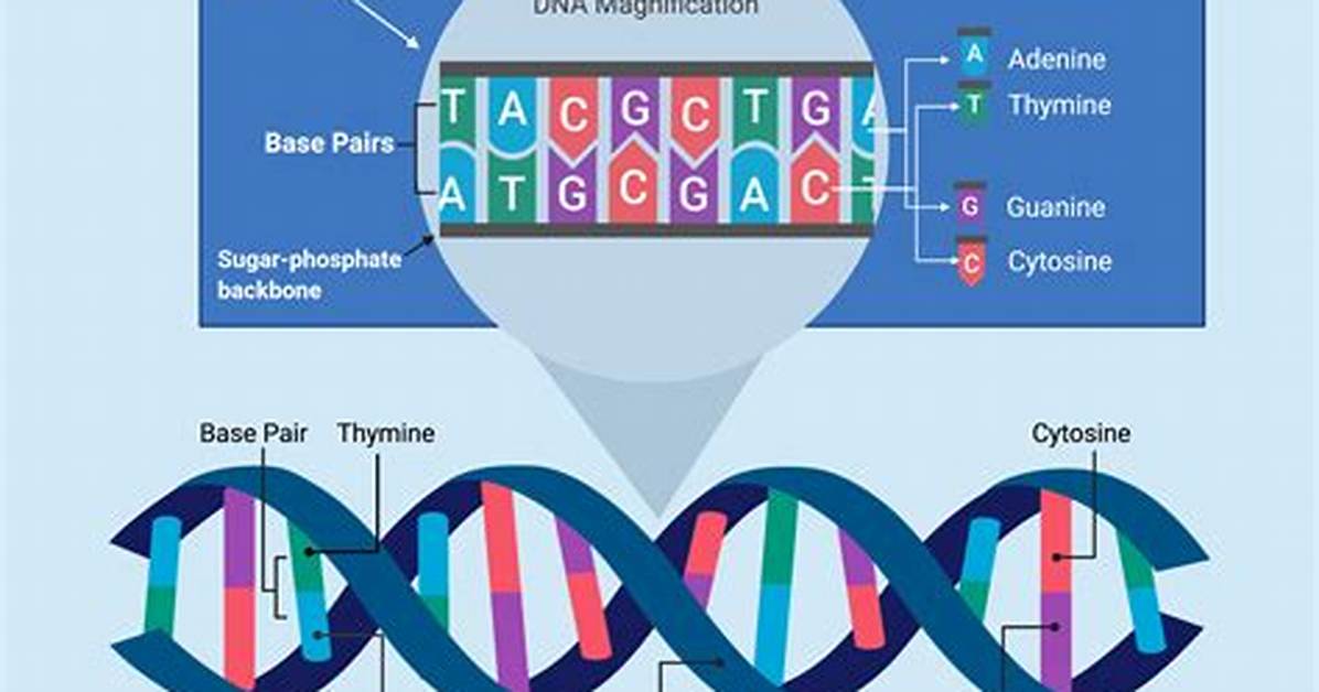 What Are Specific Dna Sequences?