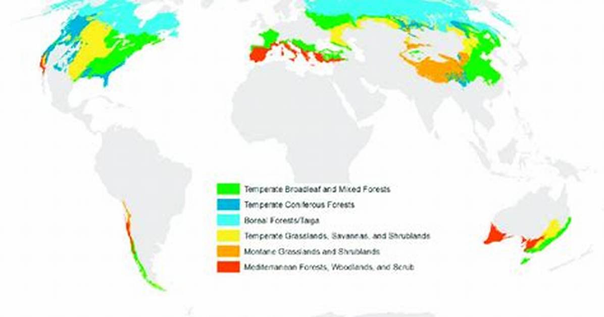 What Are Temperate Climates - Lisbd-Net. Com