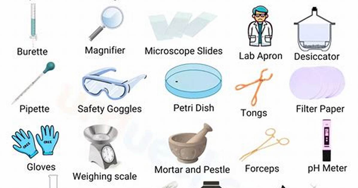 What Are the 2 Types of Lab Safety Equipment?