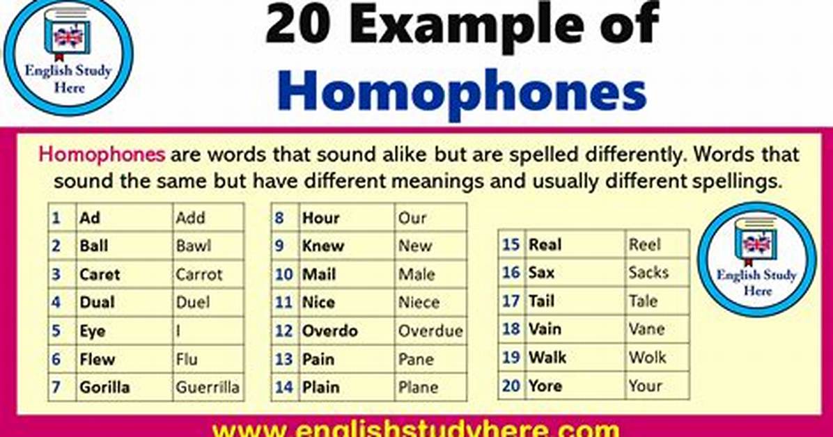 What Are the 20 Examples of Homophones with Sentences?