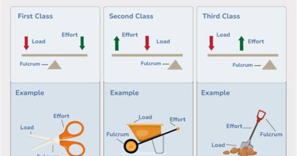 What Are the 3 Different Classes of Levers?
