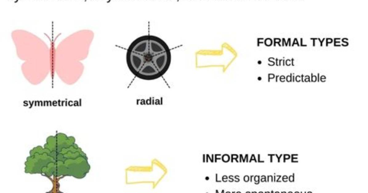 What Are the 3 Types of Balance Exercises?