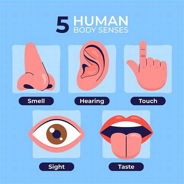 What Are the 5 Human Senses?