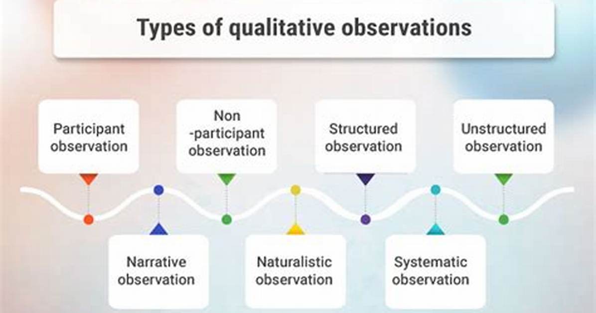 What Are the 6 Types of Observation?