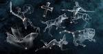What Are the 7 Constellations?
