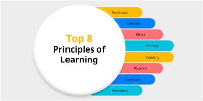 What Are the 8 Principles of Primary Health Care?