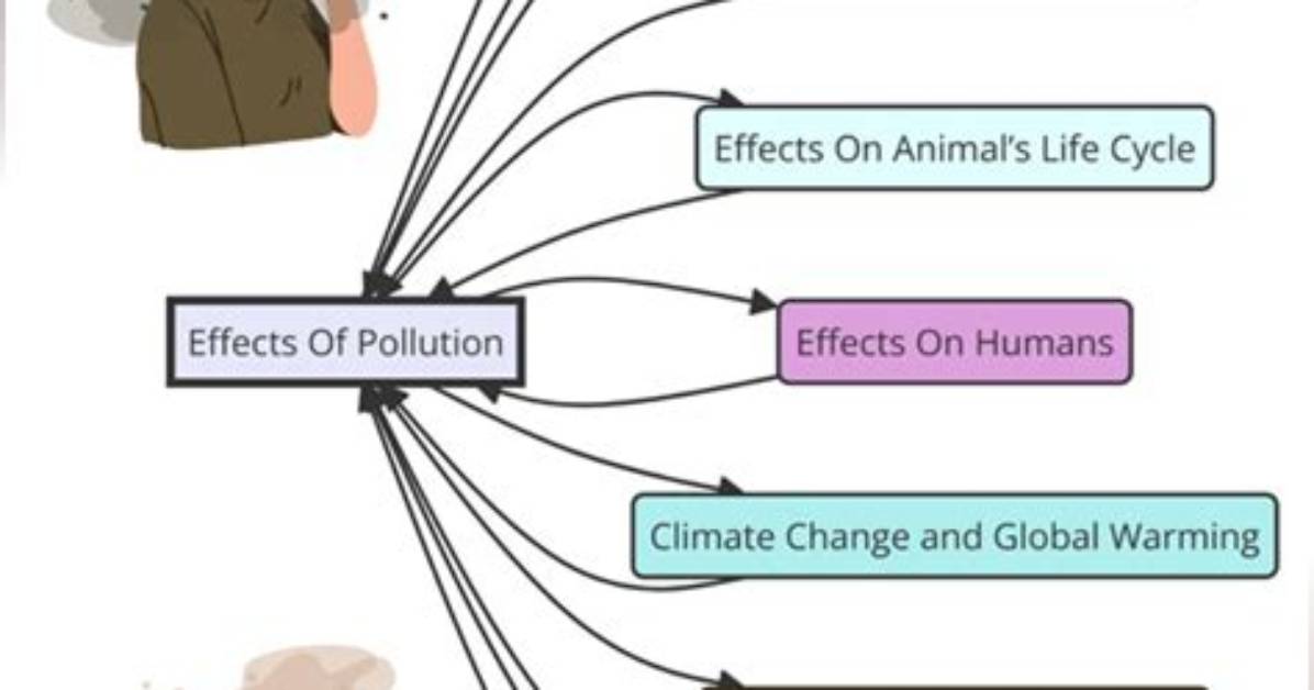 What Are the Causes and Effects of Air Pollution?