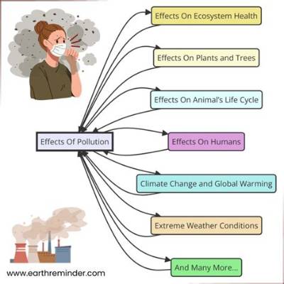 What Are the Causes and Effects of Air Pollution?