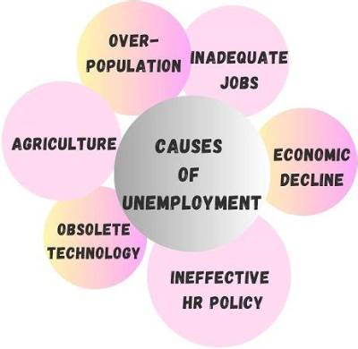 What Are the Causes of Educated Unemployment Class 12?