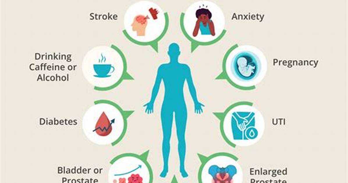 What Are the Causes of Frequent Urination?
