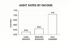 What Are the Chances of Getting Audited?
