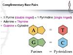 What Are the Complementary Base Pairs That Form in Dna?