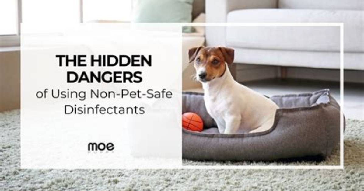 What Are the Dangers of Using Non Microwave Safe Dishes in The