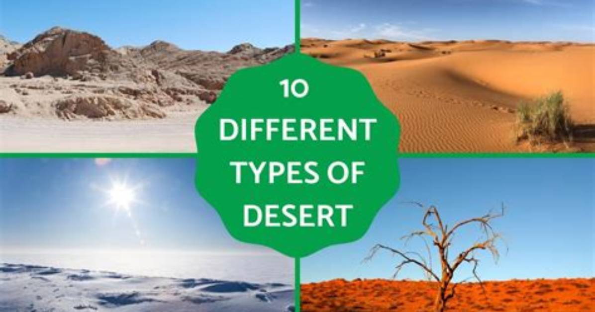 What Are the Different Types of Deserts