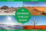 What Are the Different Types of Deserts