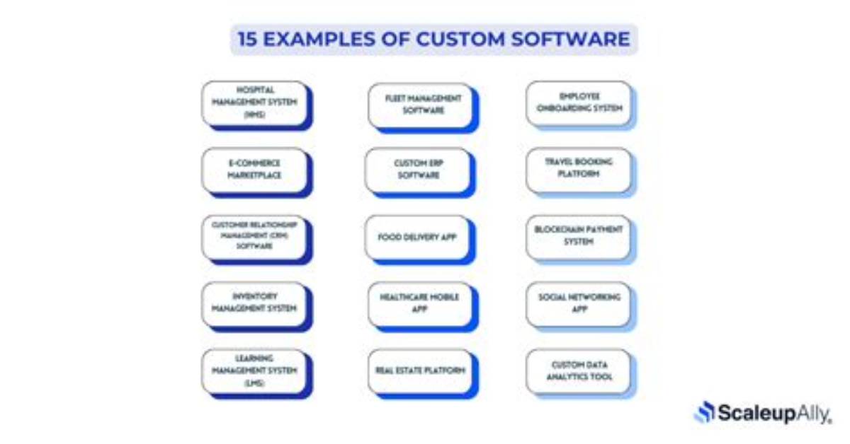 What Are the Examples of Customized Application Software?