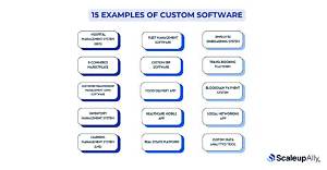 What Are the Examples of Customized Application Software?