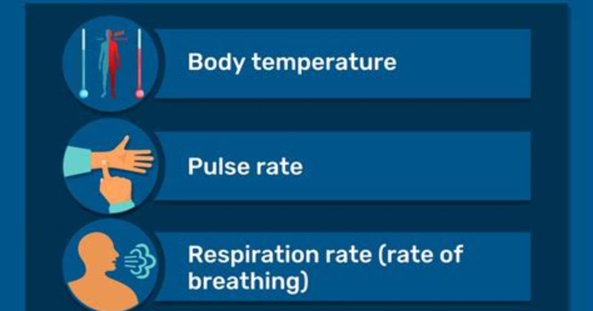 What Are the Four Main Vital Signs Quizlet?