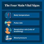 What Are the Four Main Vital Signs Quizlet?