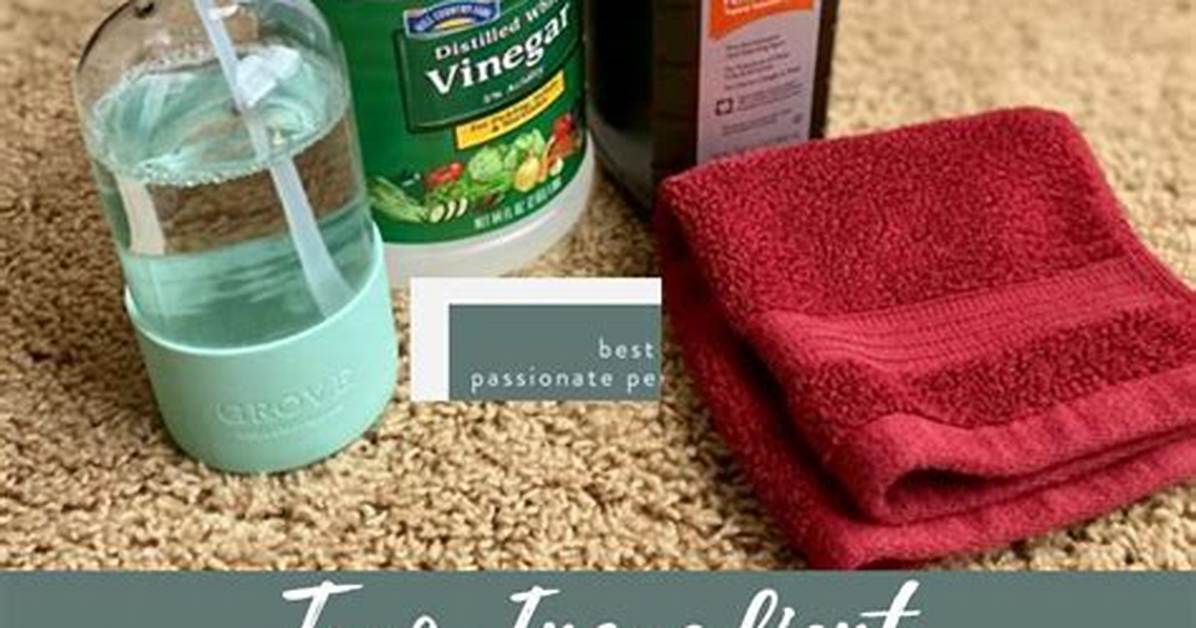 What Are the Ingredients in Carpet