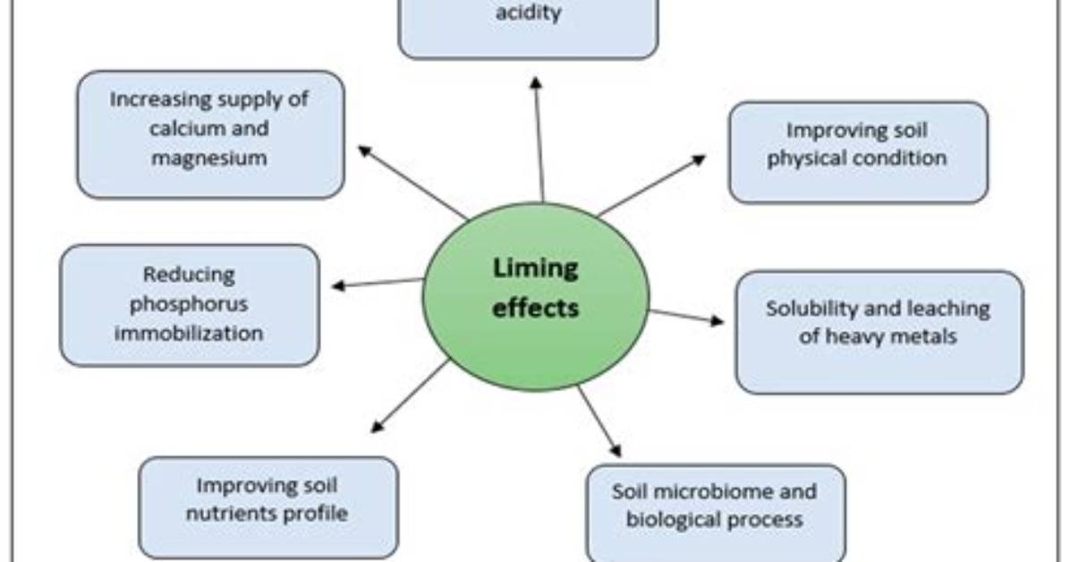 What Are the Negative Effects of Liming?